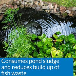 USA Made Private Label Sludge <b>Pond</b> <b>Cleaner</b> 1 Drum Bacteria Enzyme Formula Aquaculture Equipment With Custom Logo Options - Product Image 3