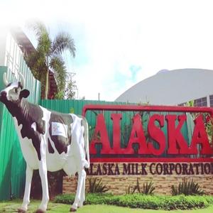 Leche Condensada Azucarada Export Alaska Classic 377g - Product Image 5
