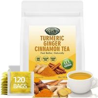 Fournisseur vietnamien thé au curcuma gingembre cannelle sachet de thé avec logo personnalisé tisane biologique