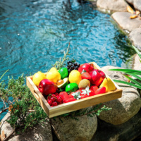 Plateau en bois pour servir les aliments, idéal pour les cuisines domestiques, les restaurants, les cafés et l'hôtellerie