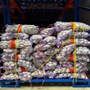กระเทียมขาวสดใหม่คุณภาพสูง มาตรฐาน ISO9001 และ GLOBAL GAP รับรองคุณภาพ ขายส่งราคาดี - Product Image 1