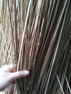 Bâtons de balai de noix de coco respectueux de l'environnement adaptés au jardin et au nettoyage intérieur - Product Image 3