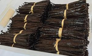 Excelente Oferta: 1 kg de Vainas de Vainilla Bourbon Pura Secas de Madagascar, 14-16 cm, Preparación Tradicional, Cosecha de Vainilla - Product Image 5