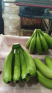 VIETNAM FRESH CAVENDISH BANANA VERDE PROVEEDORES DE EXPORTACIÓN DE VIETNAM BLUE LOTUS PRECIO BARATO 2025 - Product Image 3