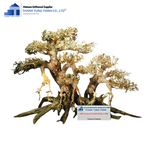 Artículo popular que evoca paz y serenidad, bonsái de madera flotante para conectarse con la naturaleza, hecho en Vietnam - Product Image 2