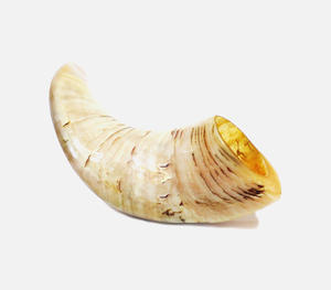 Auténtico Shofar de Cuerno de Búfalo Natural en Tono Crema, Hecho a Mano, con Textura Acanalada Tallada a Mano, Tradicional Religioso - Product Image 1