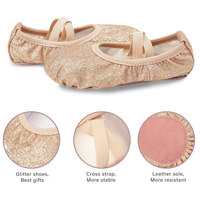 Chaussures de danse pour spectacle sur scène, semelle souple, danse du ventre, chaussures ethniques dorées en forme de patte de chat, chaussures de danse de ballet pour spectacle