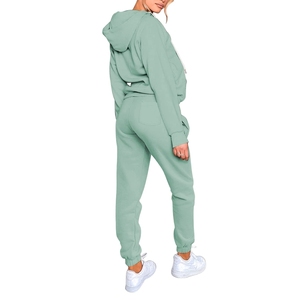 Venta caliente Unisex Training Fleece Chándal Nuevo Elegante Logotipo Personalizado Crop Tops Sudaderas con capucha Jogging Sweatsuit 2 Piezas Set Hombres Mujeres - Product Image 3