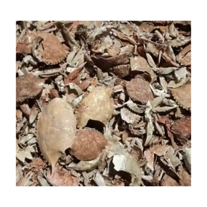 NUEVO PRODUCTO POLVO DE CRAB SECO A PRECIO ASEQUIBLE EXPORTACIÓN A GRANEL DE VIETNAM - Product Image 5