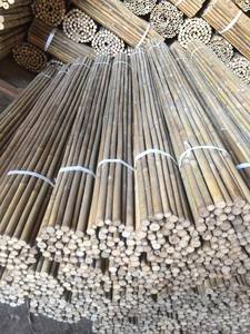 Postes de bambú gruesos fuertes para soporte de árboles tratados duraderos - Product Image 2