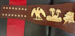 Cinturón de premio de campeón de cuero genuino pesado de 6MM personalizado, diseño heredado suave y duradero, ideal para torneos de artes marciales - Product Image 3