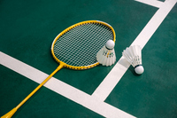 Raquette de badminton en fibre de carbone légère, personnalisée, de haute qualité, professionnelle, Pack Graphite Custom Fiber RX MA480, couleur personnalisée, dure ou souple