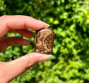 Pierre précieuse de calcite chocolatée polie à la main de qualité supérieure, forme libre, pour la guérison spirituelle, Agate Muntaha - Product Image 2