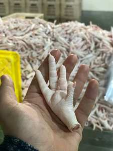 ตีนไก่แช่แข็งฮาลาล สดใหม่ ขายส่งราคาถูก - Product Image 2