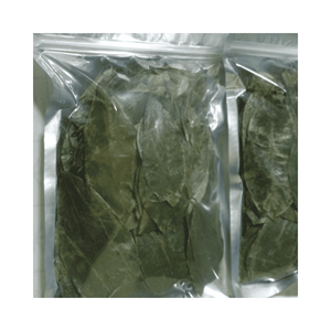 Hoja de Graviola de Guanábana seca, material natural seleccionado a mano para mezclas de hojas sueltas y kits de bebidas, cribados y empaquetados en Vietnam - Product Image 6