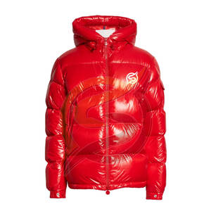 Chaqueta acolchada de algodón con capucha para exteriores, acolchada, gruesa, personalizada, de invierno, 2022 - Product Image 1