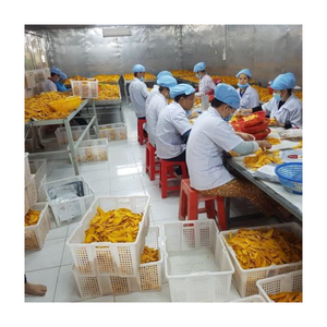 Cubos de mango congelado 2025 Hotsale-Maduros, dulces y empaquetados para una máxima frescura - Product Image 3