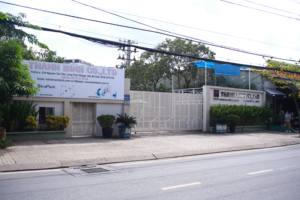 Rollo de correa de embalaje de plástico PET de longitud personalizada para cajas y cajas OEM ODM Fabricante directo al por mayor - Product Image 6