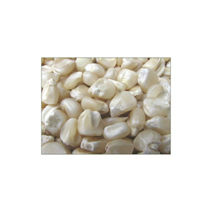 Maïs blanc pour consommation et alimentation animale Maïs soufflé blanc séché Produit de maïs de qualité supérieure - Product Image 5