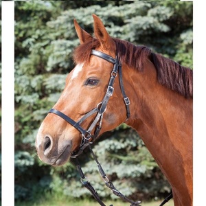 Horse Bridle Wholesale PRICE Top Quality Horse Bridle Made of REAL Leather New High Quality Horse Bridles in German Leather - Product Image 5
