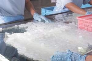 วุ้นมะพร้าวสดสำหรับฤดูร้อน-Nata de COCO มะพร้าวเจลลี่จาก99โกลด์ดาต้าเวียดนาม - Product Image 4