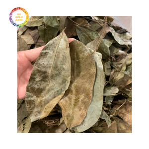 Feuilles de corossol séchées naturelles de qualité fiable, emballées en vrac avec un processus de séchage AD - Product Image 5