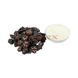 Extrait de Garcinia Cambogia Extrait d'herbes pures Garcinia cambogia fruit garcinia cambogia capsules extrait botaniocal - Product Image 1