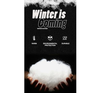 Chaqueta acolchada personalizada para hombre 2025, cálida, impermeable, ligera, aislada, para invierno, ropa de calle OEM, proveedor mayorista a granel - Product Image 6