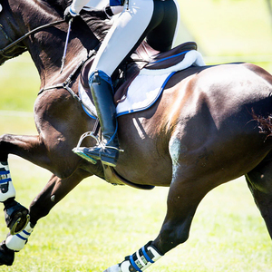 Lujo personalizado estrellas 100% algodón occidental motocicleta Chaps equitación carreras completo Chaps cintura elástica primavera plana transpirable - Product Image 3