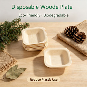 Ciotoline Ecologiche Monouso in Legno <span class=keywords><strong>per</strong></span> Salse, Piccole <span class=keywords><strong>Ciotole</strong></span> in Legno <span class=keywords><strong>per</strong></span> Salsa di Soia, Ketchup <span class=keywords><strong>e</strong></span> Antipasti - Product Image 4