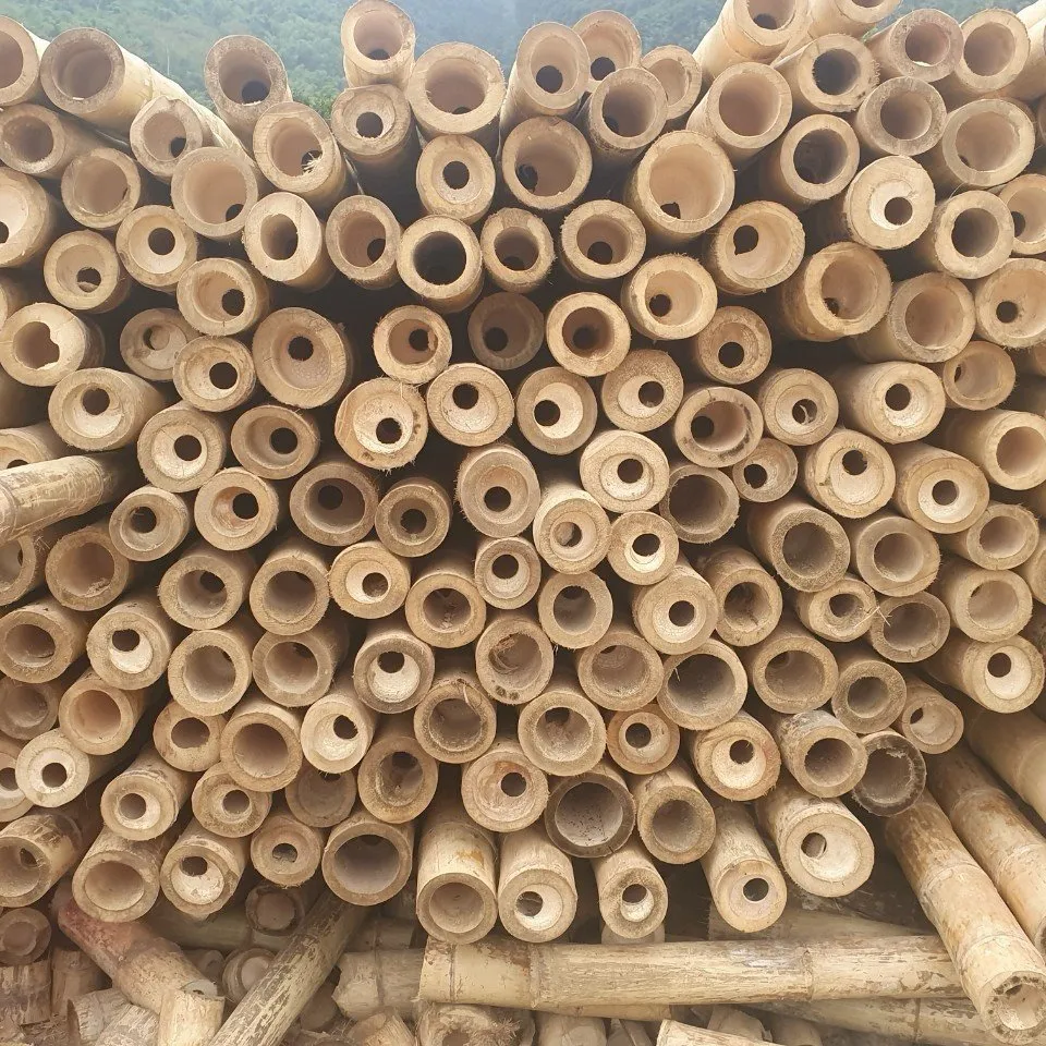 Customized length dried bamboo stakes from Vietnam Top best seller stick straight bamboo for garden plant or decoration