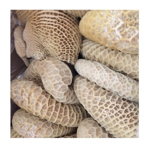 Viande de buffle halal fraîche sans os / Omasum de bœuf congelé / Bœuf congelé - Product Image 1