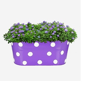 Pots de plantes à fleurs en métal Tube Design Garden Decoration and look design piece at best deocrative items - Product Image 2