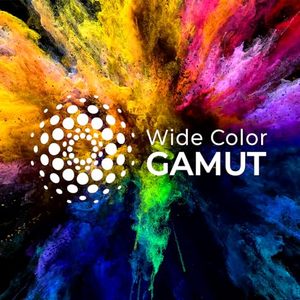 Téléviseur intelligent QLED 4K UHD 120Hz de 98 pouces avec local dimming, caisson de basses et Wi-Fi - Product Image 4