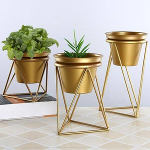 Modern <b>Indoor</b> Decorative Metal Planter <b>Pot</b> with <b>Small</b> Height Stand for Home Furnishing or Garden Decor - Product Image 3