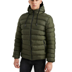 Chaqueta Safari Impermeable para Hombre, Invierno 2026, con Logotipo Personalizado OEM, Cuello Alto, Talla Grande, Delgada, Acolchada, Ecológica - Product Image 1