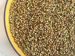 Graines de coriandre de haute qualité pour mélanges d'épices de l'exportateur indien au meilleur prix graines de coriandre - Product Image 2