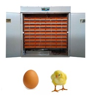 Incubateur de volailles multifonctionnel automatique à énergie solaire, incubateur universel pour œufs de poulet, canard, oie, émeu, autruche, neuf à 99%