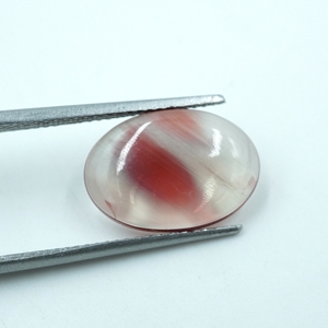 Cabujón de piedras preciosas de corte ovalado de coral natural para la fabricación de joyas de Mongolia - Product Image 2