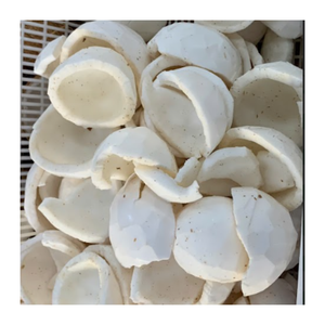 Carne de coco congelada de Vietnam | Premium IQF Coco | Fruta natural dulce y saludable para postres batidos Exportación al por mayor - Product Image 4