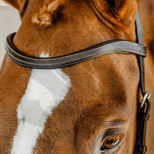 Brida para Caballo Duradera, Totalmente Personalizable, Ajustable, de Alta Calidad, Cuero Suave, Acolchado Suave, Herrajes de Acero Inoxidable, Colores Personalizados - Product Image 3