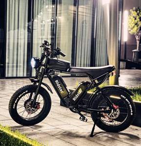 Bicicleta Eléctrica Híbrida Riddsta Q20 Pro de Venta Rápida, 750W 2000W, Neumático Grueso de 20 Pulgadas - Product Image 2