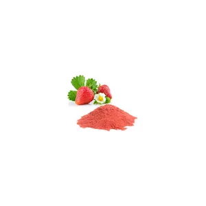 Poudre de jus de fraise séchée en Spray, quantité minimale de commande extrait de Fruit biologique de haute qualité, fabricants en inde