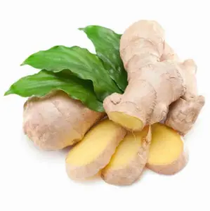 Ginger from Canadian Superior Quality For Export Ginger Old fresh Ginger Slices