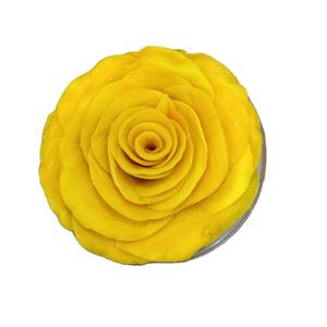 Rebanadas de mango secas suaves Chips de fruta de bocadillo Seco Bajo en azúcar al por mayor de Vietnam - Product Image 1