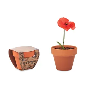 Semillas de Amapola Roja en Frasco, Macetas Ecológicas y Accesorios para Flores - Product Image 4