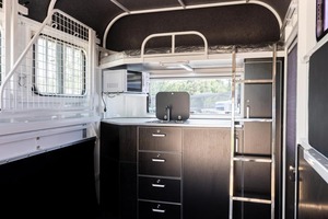 Remolque de Carga Recta de Calidad Premium para 3 Caballos, Remolque para Ganado, para Equitación y Camping - Product Image 5