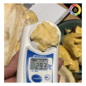 Durian Ri6 congelé, viande Monthong, pulpe de durian au goût sucré de qualité supérieure IQF, Mongthong congelé et Ri6 Durian pour desserts, smoothies - Product Image 1