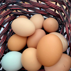 ไข่ไก่แบบมีโต๊ะสำหรับฟาร์มแบบสดไข่ไก่ไก่สีน้ำตาลและสีขาวออร์แกนิค - Product Image 1