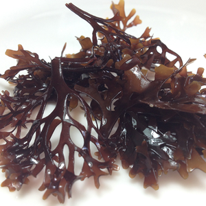 Summer Flash Sale: 15% Off Irish Moss Combo Packs (Seamoss Gold - Purple) - Product Image 6